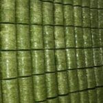 أصابع تركية بالفستق